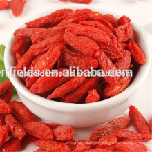 Organische Goji-Beeren Ning Xia, China